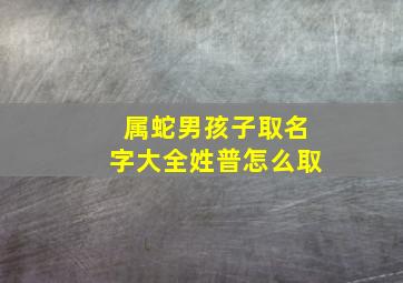 属蛇男孩子取名字大全姓普怎么取