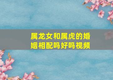 属龙女和属虎的婚姻相配吗好吗视频