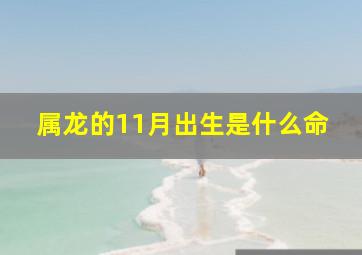 属龙的11月出生是什么命