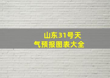 山东31号天气预报图表大全