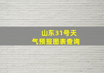 山东31号天气预报图表查询