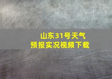 山东31号天气预报实况视频下载