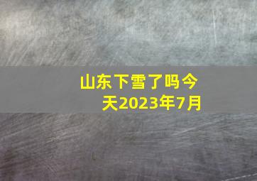 山东下雪了吗今天2023年7月