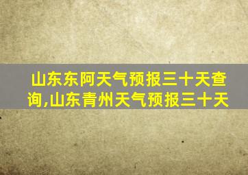 山东东阿天气预报三十天查询,山东青州天气预报三十天