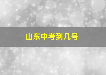 山东中考到几号