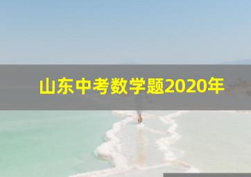 山东中考数学题2020年