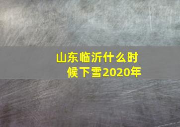 山东临沂什么时候下雪2020年