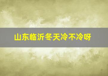 山东临沂冬天冷不冷呀