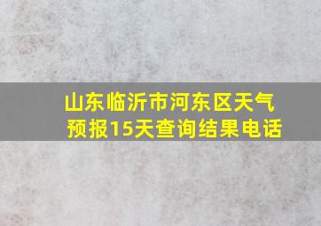 山东临沂市河东区天气预报15天查询结果电话