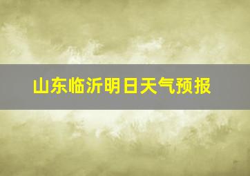 山东临沂明日天气预报