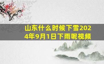 山东什么时候下雪2024年9月1日下雨呢视频