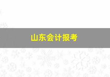 山东会计报考