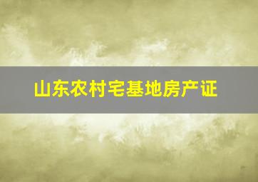 山东农村宅基地房产证