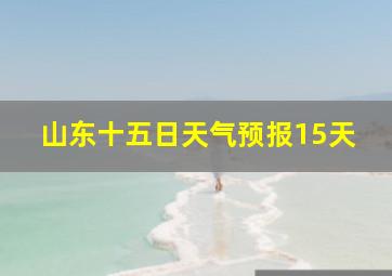 山东十五日天气预报15天