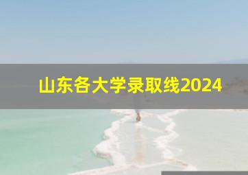 山东各大学录取线2024