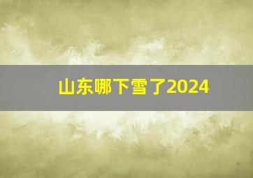 山东哪下雪了2024