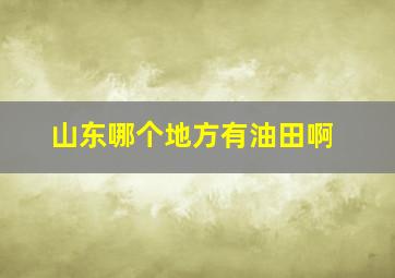 山东哪个地方有油田啊