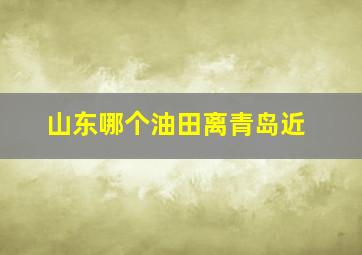 山东哪个油田离青岛近