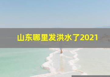 山东哪里发洪水了2021