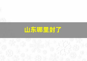 山东哪里封了