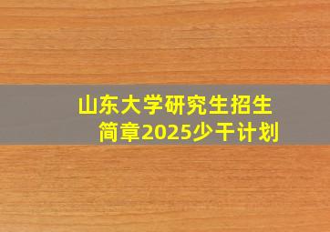 山东大学研究生招生简章2025少干计划