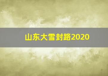 山东大雪封路2020