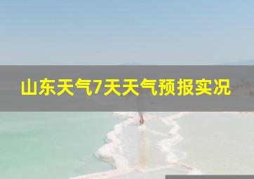 山东天气7天天气预报实况