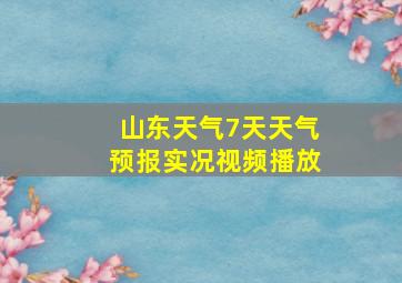 山东天气7天天气预报实况视频播放