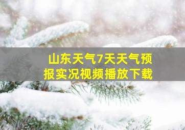 山东天气7天天气预报实况视频播放下载