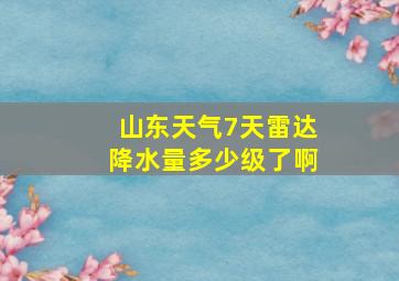 山东天气7天雷达降水量多少级了啊