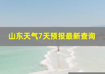 山东天气7天预报最新查询