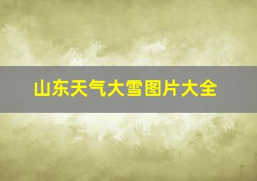 山东天气大雪图片大全