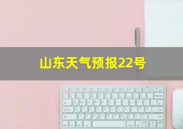 山东天气预报22号