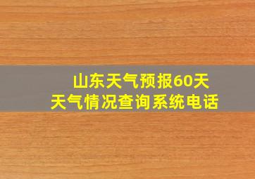 山东天气预报60天天气情况查询系统电话