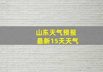 山东天气预报最新15天天气