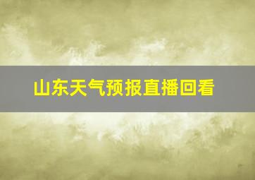 山东天气预报直播回看