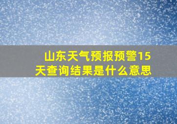 山东天气预报预警15天查询结果是什么意思