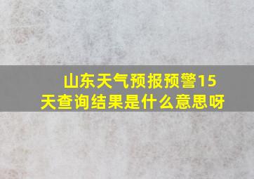 山东天气预报预警15天查询结果是什么意思呀