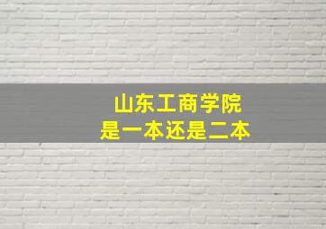 山东工商学院是一本还是二本