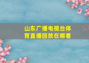 山东广播电视台体育直播回放在哪看