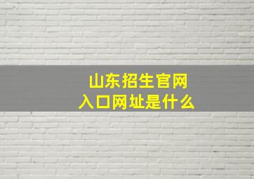 山东招生官网入口网址是什么