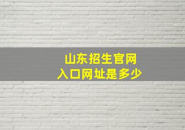 山东招生官网入口网址是多少