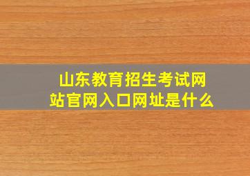 山东教育招生考试网站官网入口网址是什么