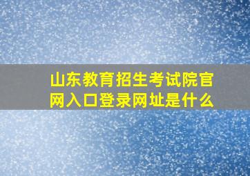 山东教育招生考试院官网入口登录网址是什么