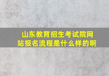 山东教育招生考试院网站报名流程是什么样的啊