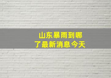 山东暴雨到哪了最新消息今天