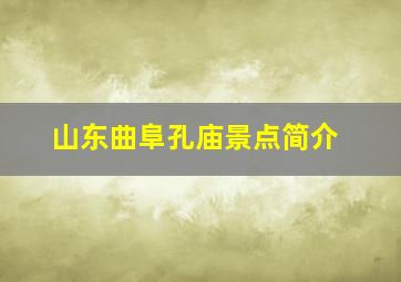 山东曲阜孔庙景点简介