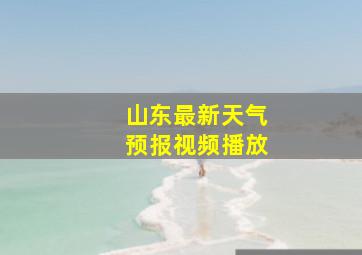 山东最新天气预报视频播放