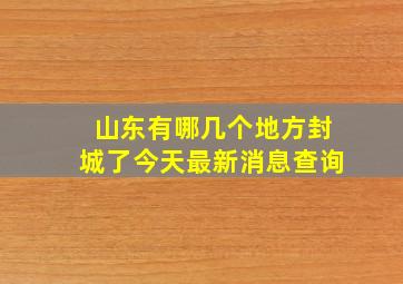 山东有哪几个地方封城了今天最新消息查询