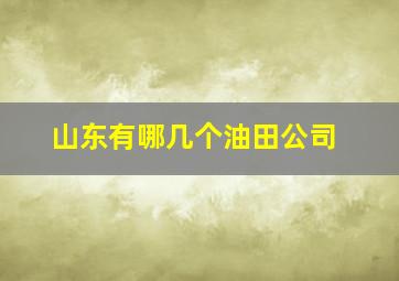 山东有哪几个油田公司